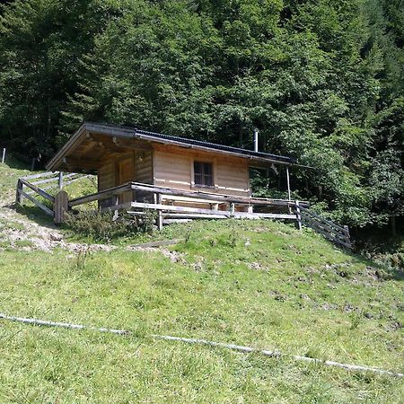 Haus Theresia Alpbach Exterior foto