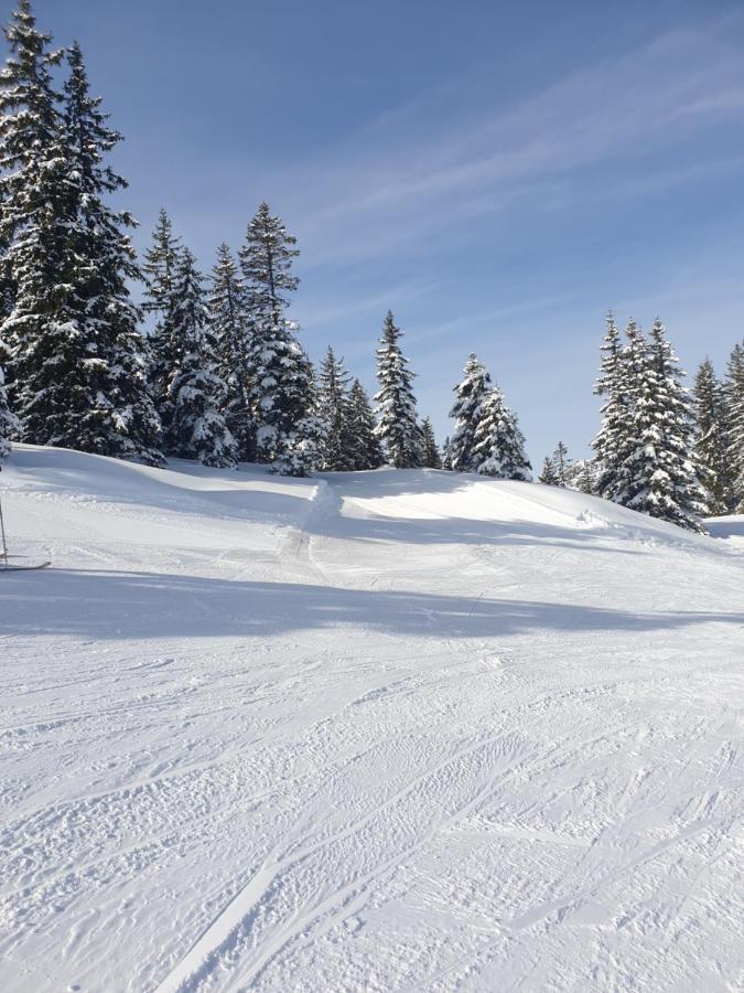 Haus Theresia Alpbach Exterior foto