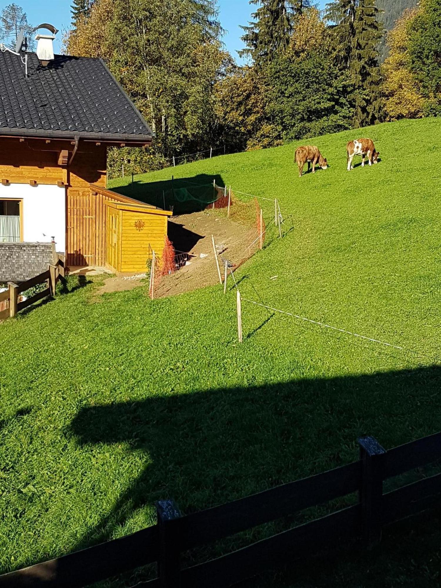 Haus Theresia Alpbach Exterior foto