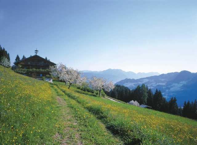 Haus Theresia Alpbach Exterior foto
