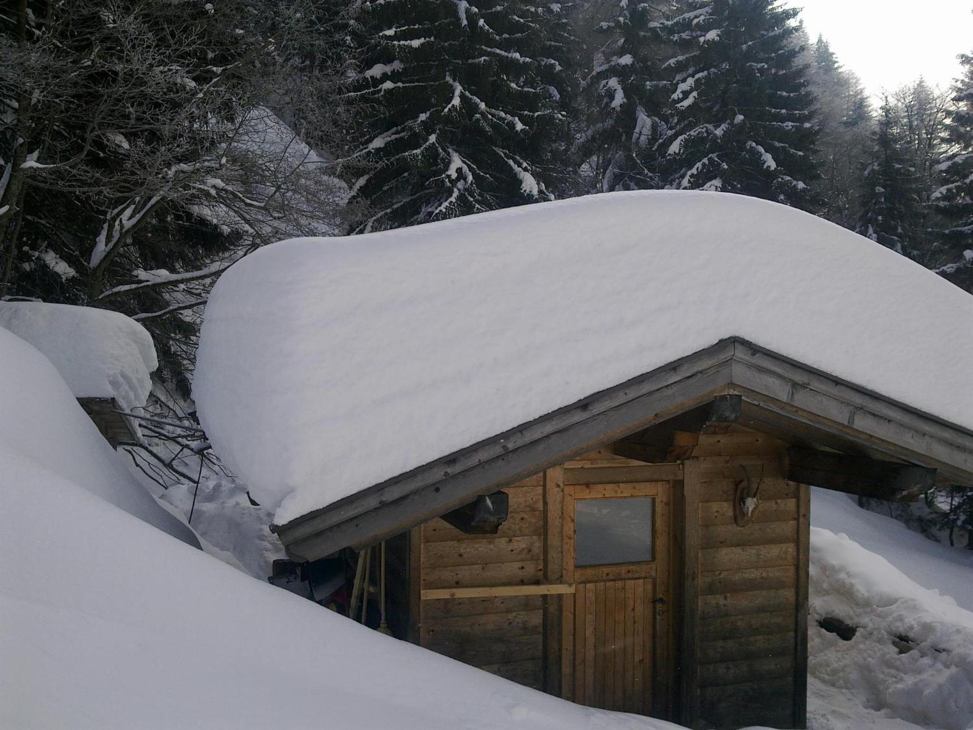 Haus Theresia Alpbach Exterior foto