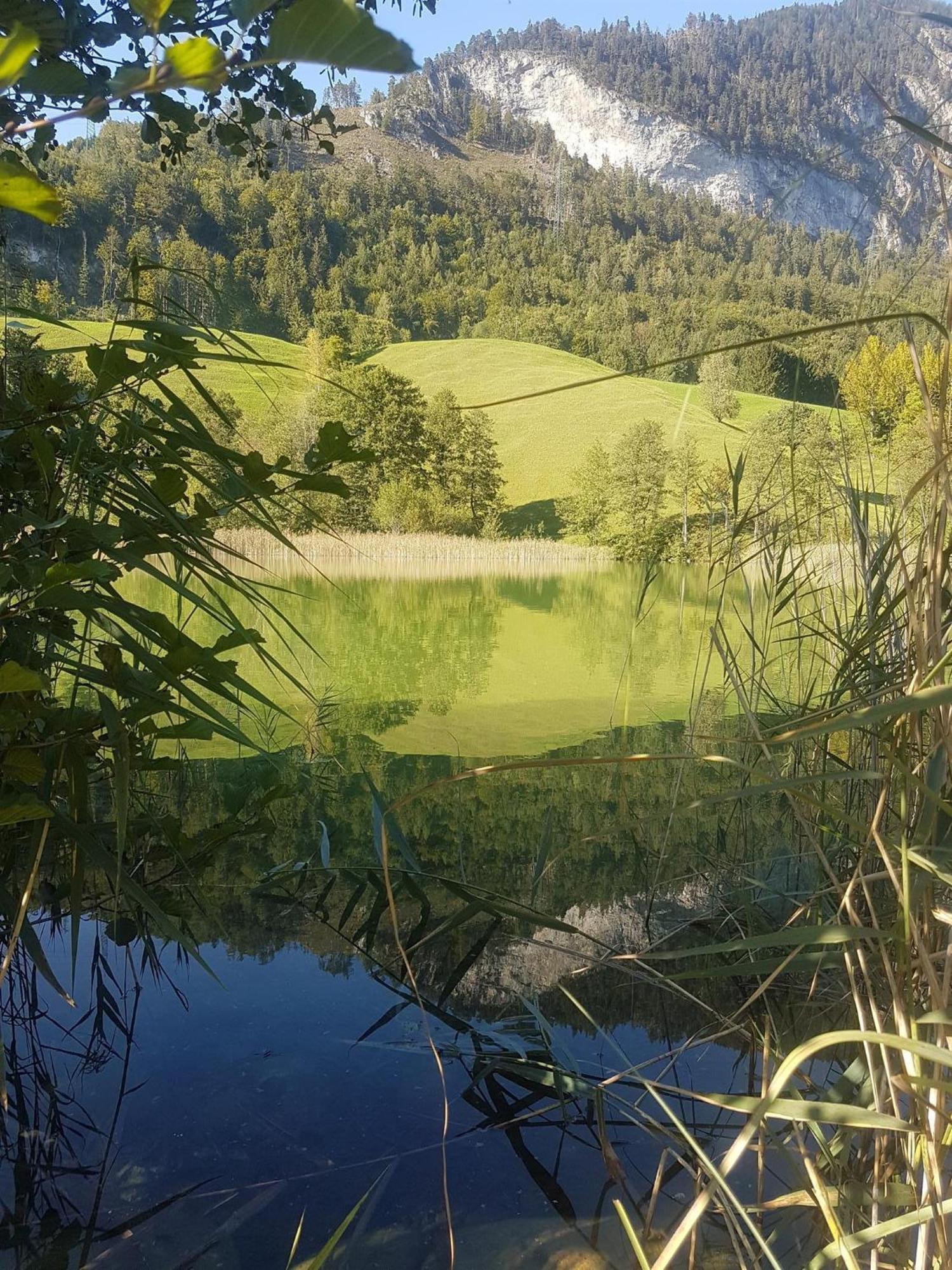 Haus Theresia Alpbach Exterior foto