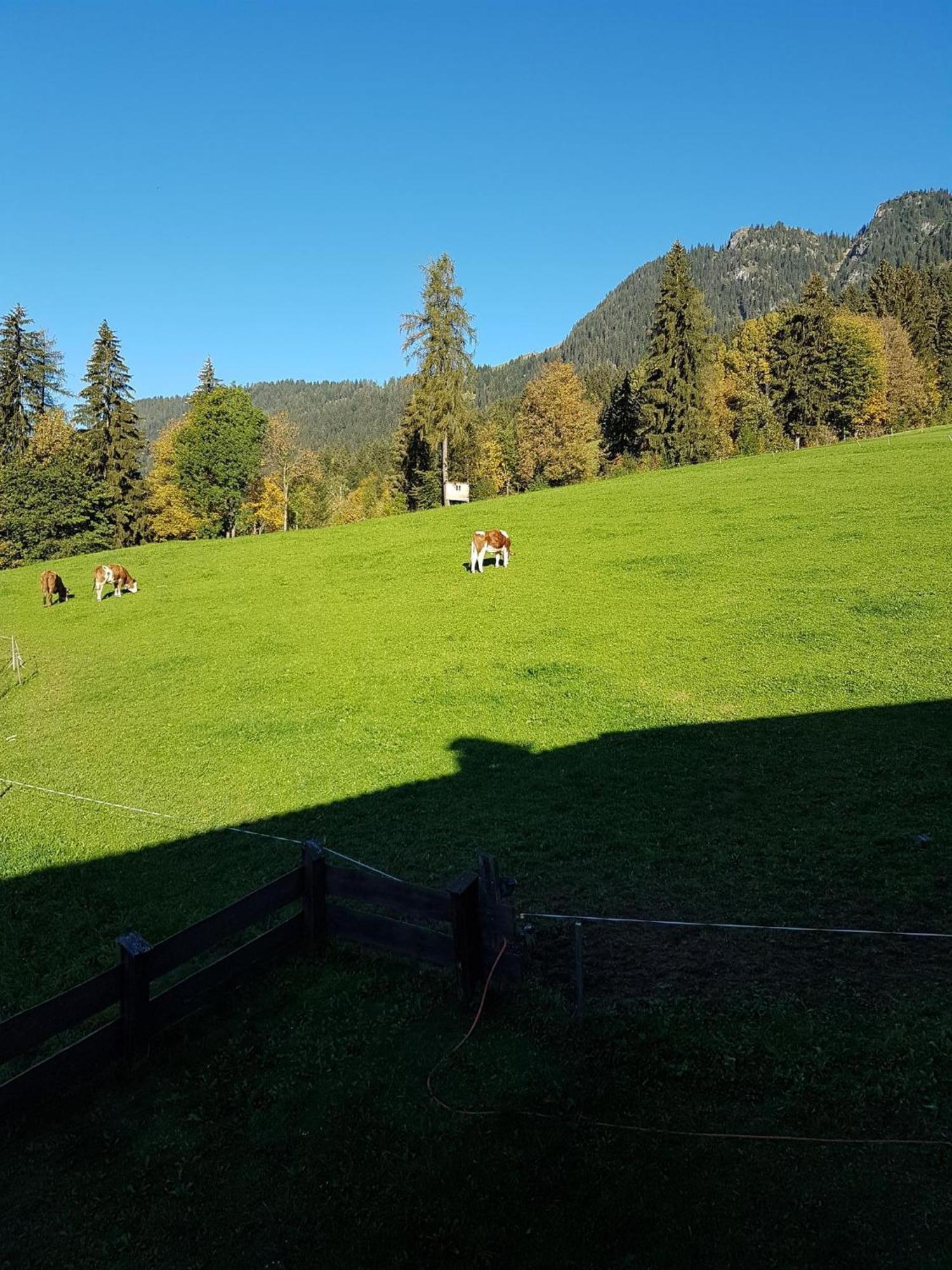 Haus Theresia Alpbach Exterior foto